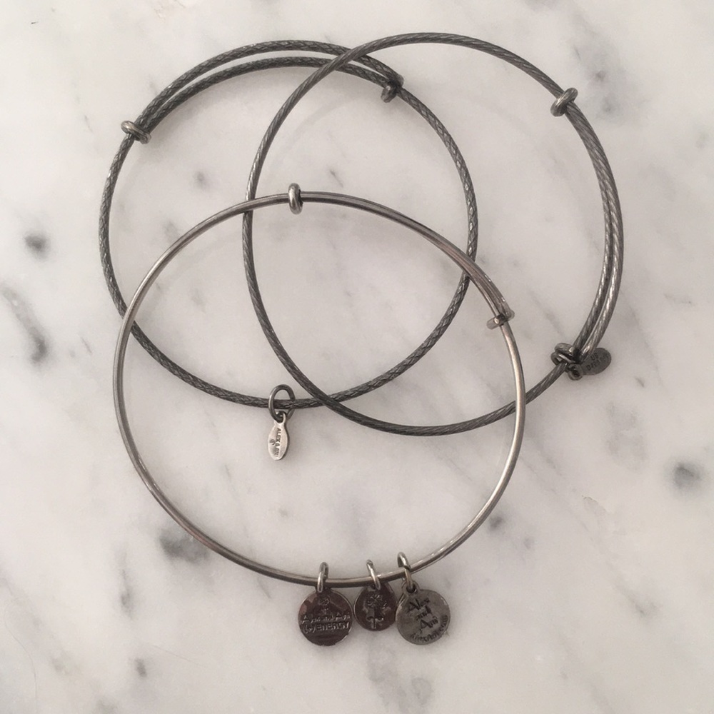 Alex + Ani graphite metal bangle bundle
